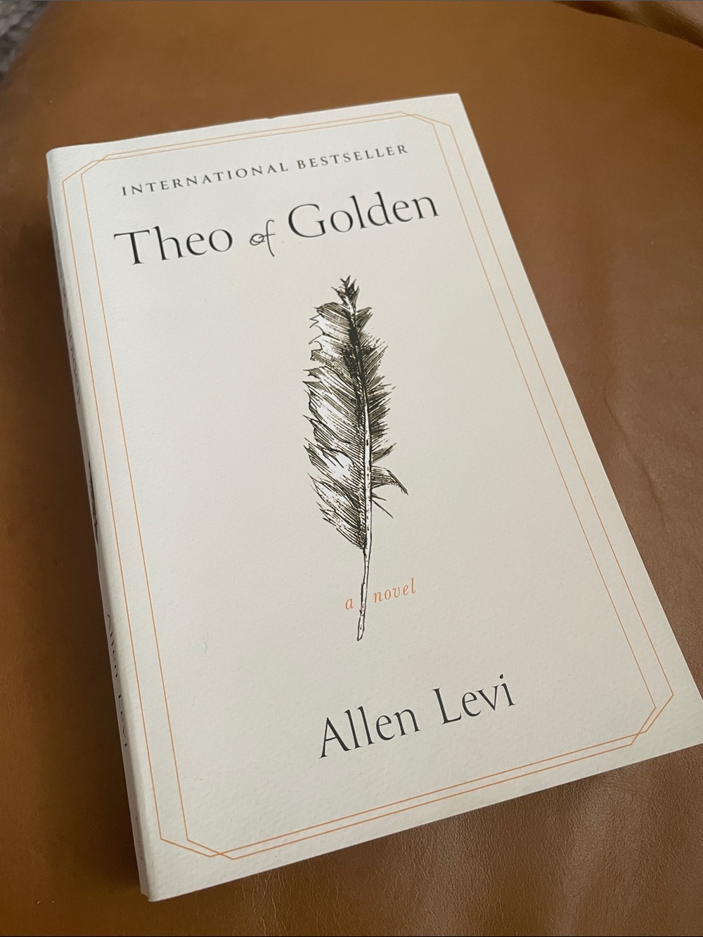 "Theo of Golden” Novel by Allen Levi